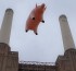 Pink Floyd: Flying pig not for sale