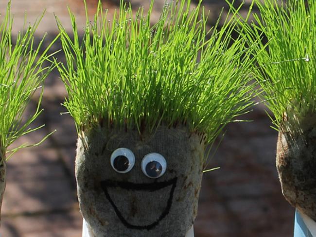 Chia-lieber