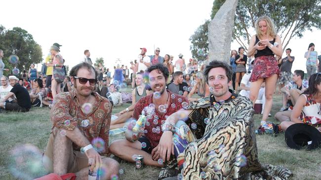 Bubbly punters at Meredith Music Festival 2014