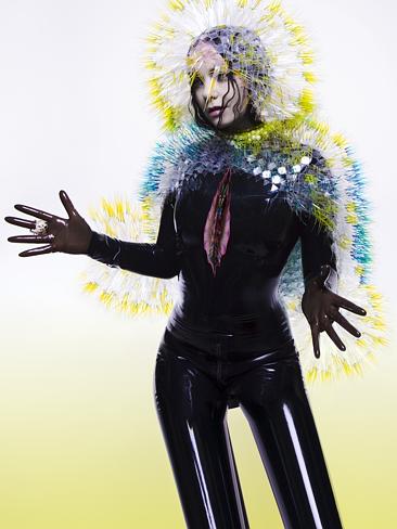 Deep ... The meaning behind this album cover as Björk explained is that it’s a wound itse