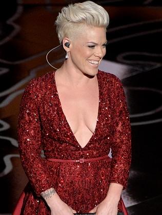 Pink introduced Dyson to her Twitter followers. Picture: Getty Images