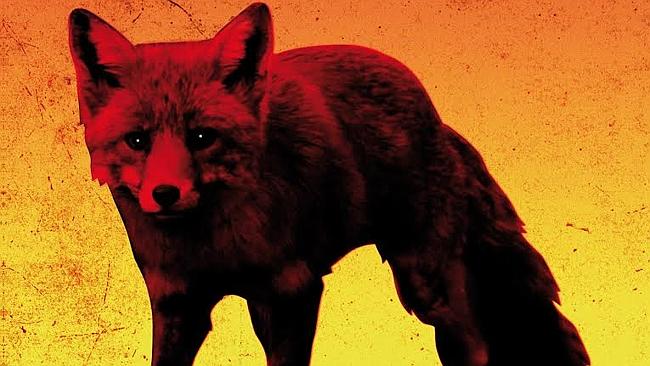 Fox on the run ... the cover of the Prodigy’s The Day is My Enemy album.