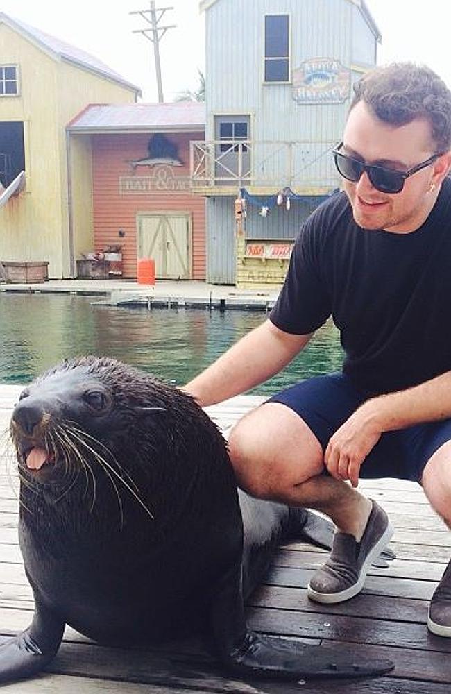 Singer Sam Smith made friends with a seal at Sea World. Picture: Instagram